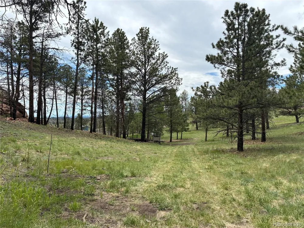 266 Chapparal Trail Florissant, CO 80816
