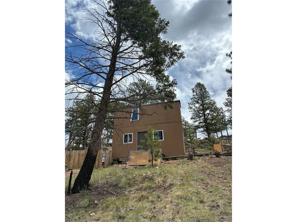 266 Chapparal Trail Florissant, CO 80816