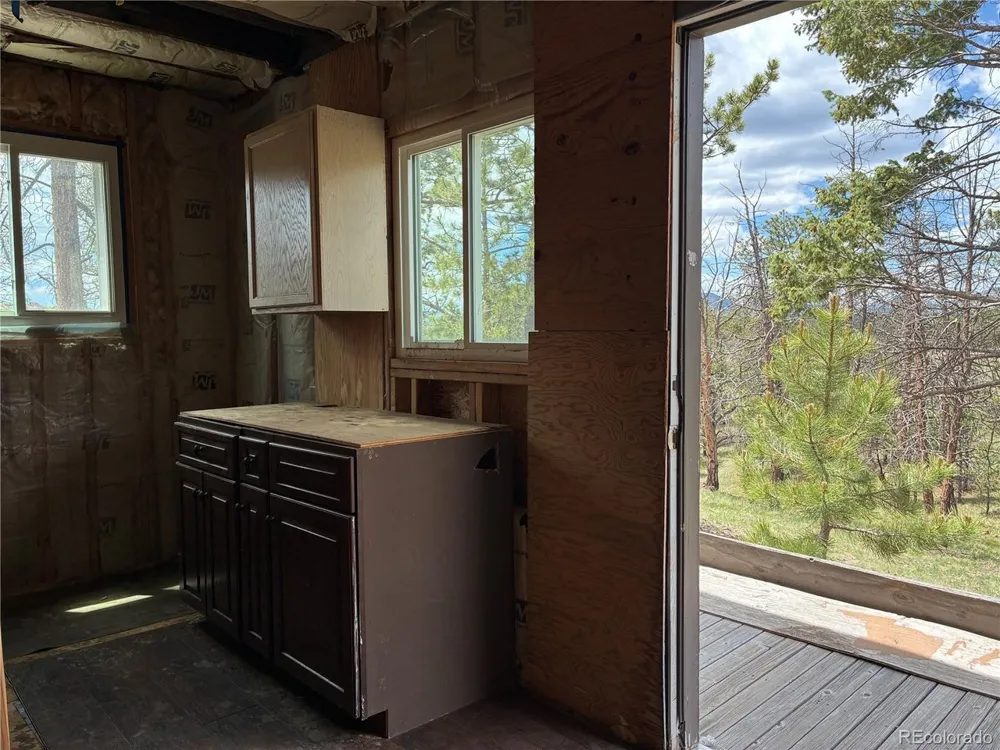 266 Chapparal Trail Florissant, CO 80816