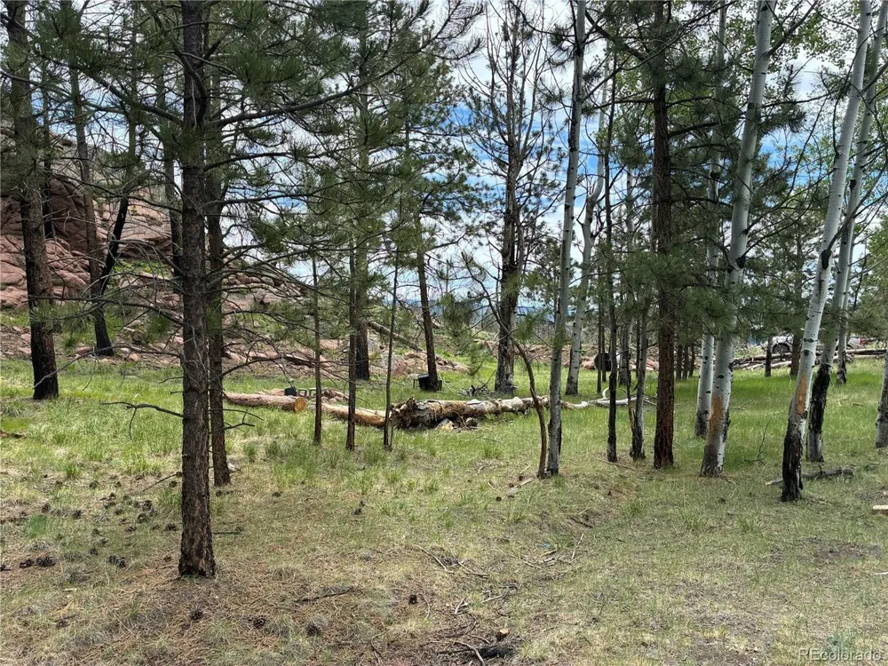 266 Chapparal Trail Florissant, CO 80816