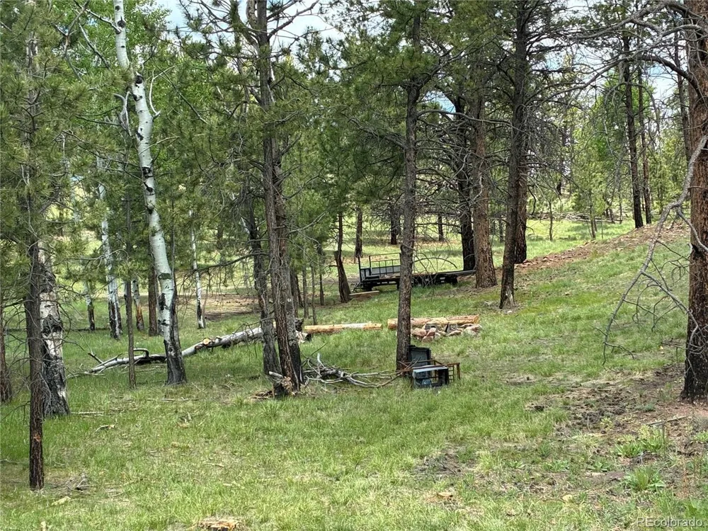 266 Chapparal Trail Florissant, CO 80816