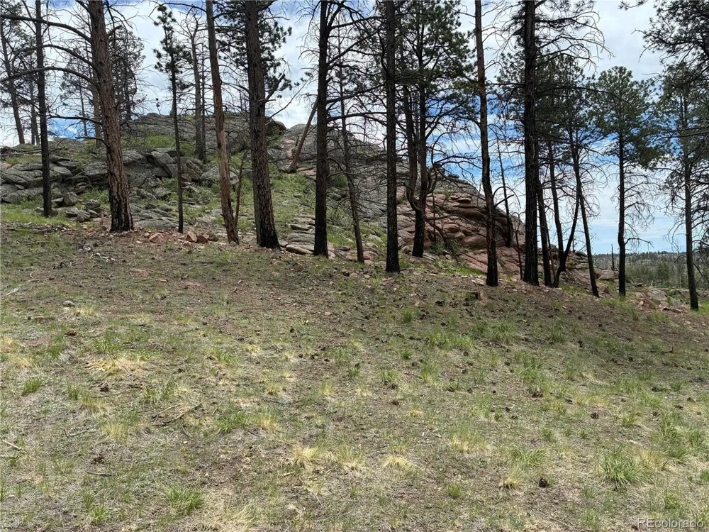 266 Chapparal Trail Florissant, CO 80816
