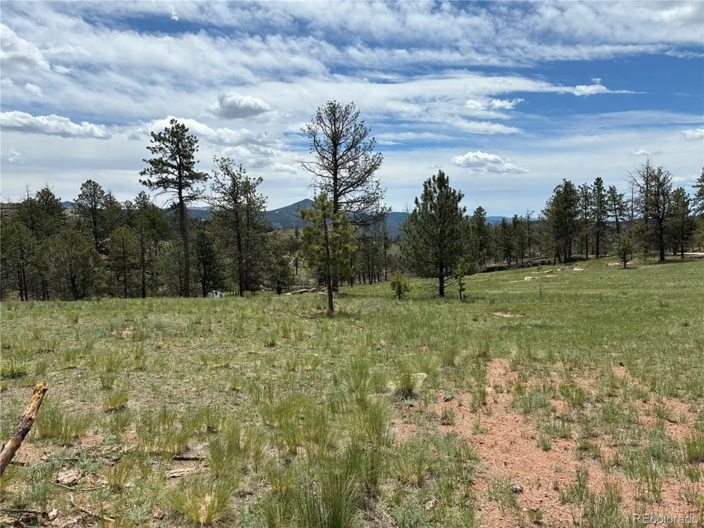 266 Chapparal Trail Florissant, CO 80816