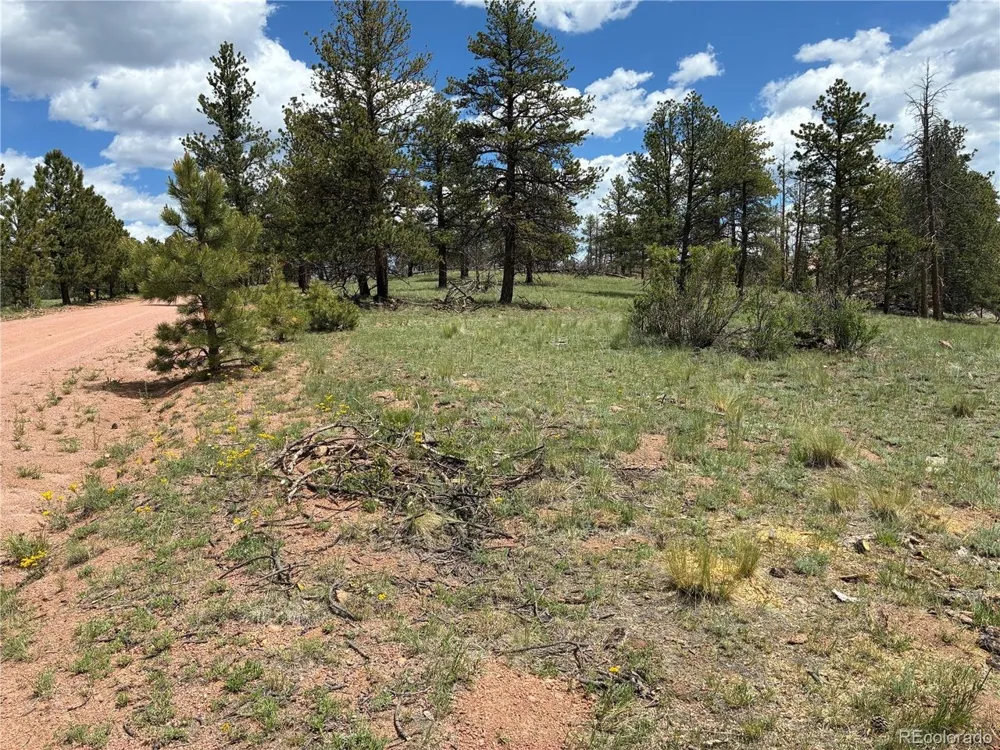 266 Chapparal Trail Florissant, CO 80816