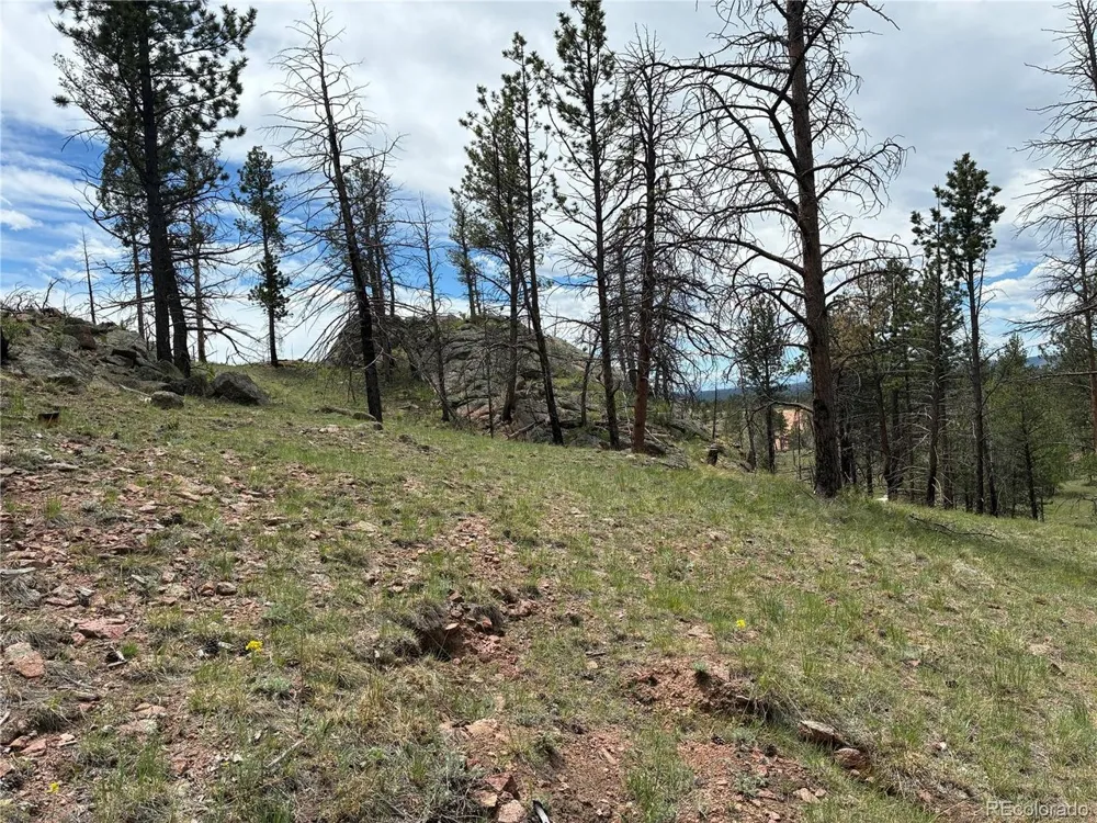 266 Chapparal Trail Florissant, CO 80816