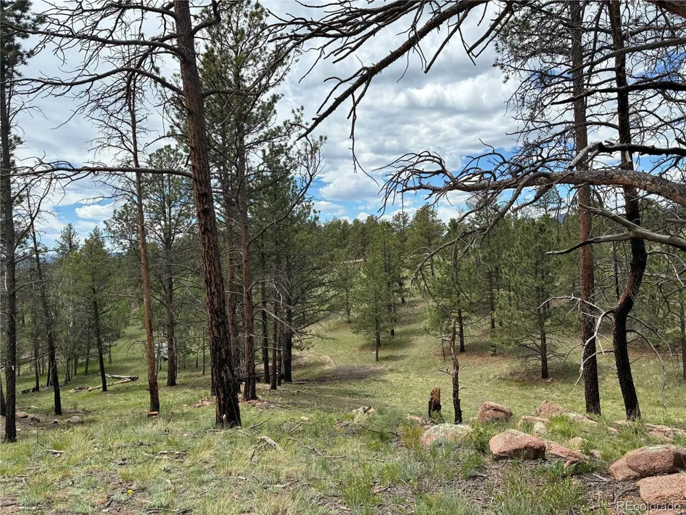 266 Chapparal Trail Florissant, CO 80816