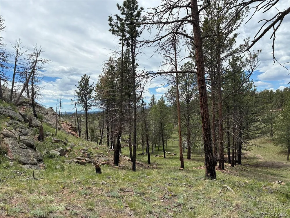 266 Chapparal Trail Florissant, CO 80816