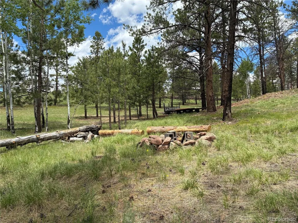 266 Chapparal Trail Florissant, CO 80816