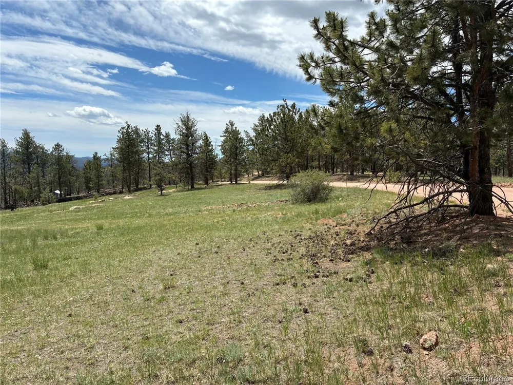 266 Chapparal Trail Florissant, CO 80816