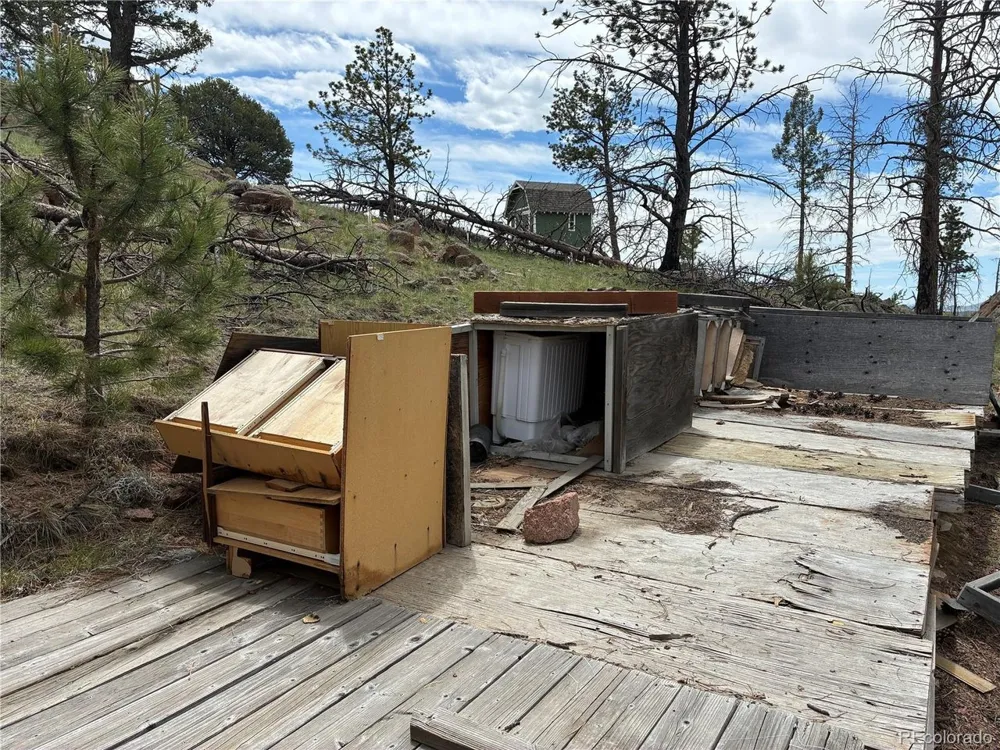 266 Chapparal Trail Florissant, CO 80816