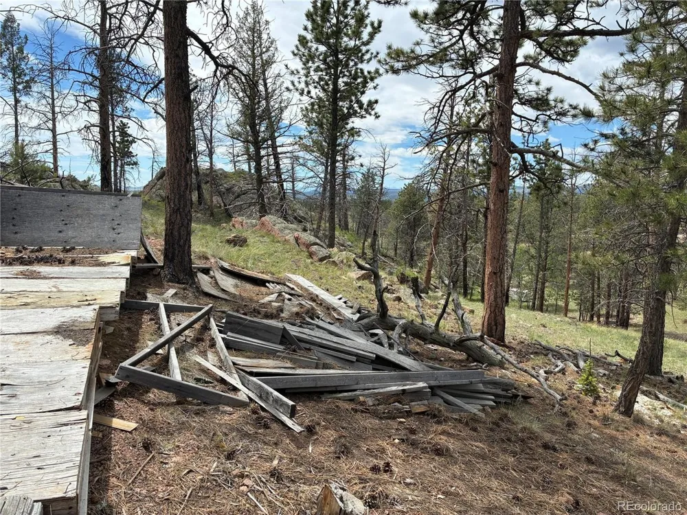 266 Chapparal Trail Florissant, CO 80816