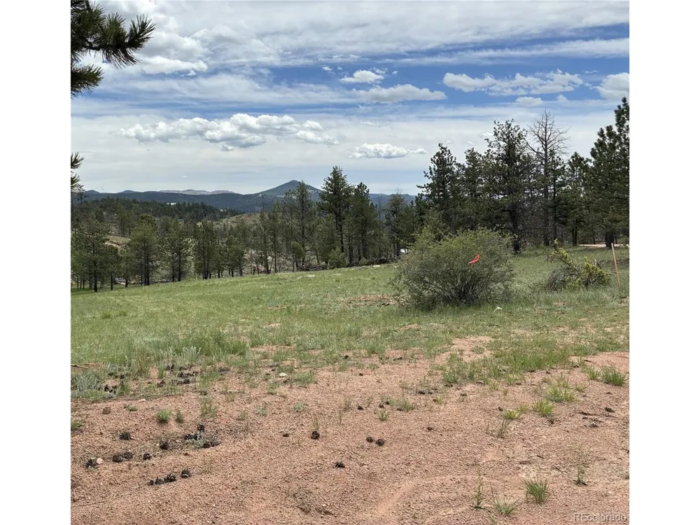 266 Chapparal Trail Florissant, CO 80816