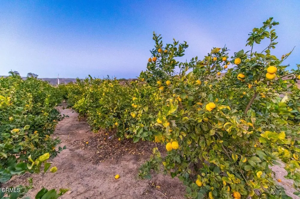 14855 Middle Ranch Road Moorpark, CA 93021
