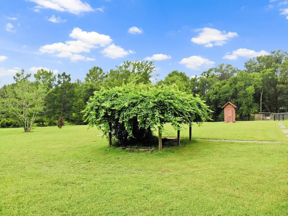 579 FM 2882 Mt Pleasant, TX 75455