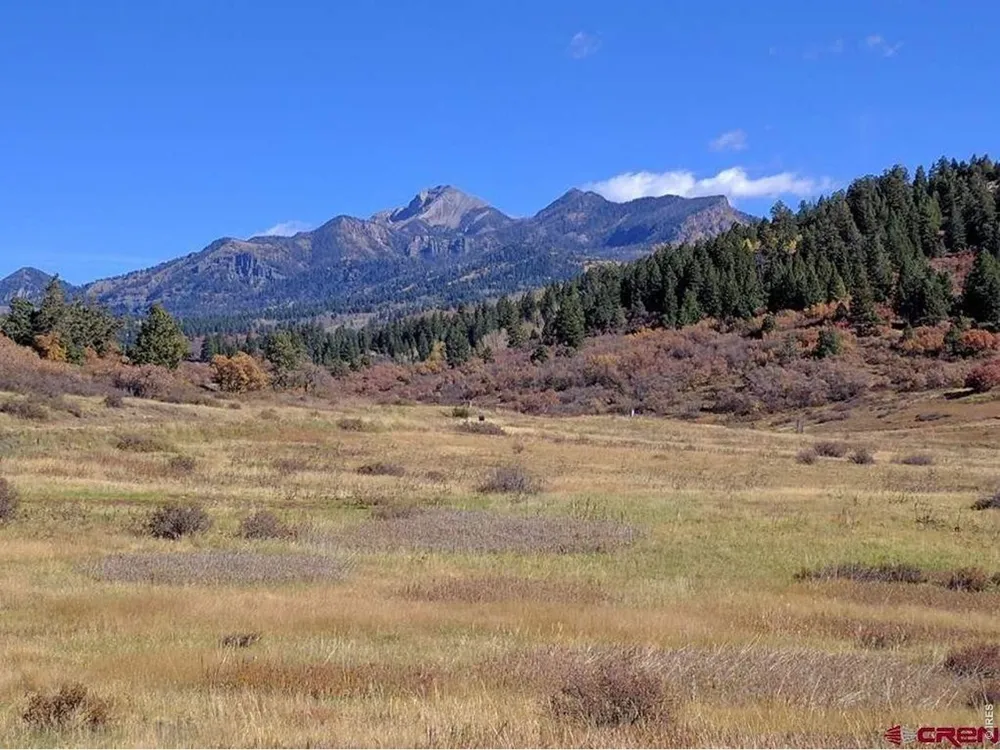 919 Roush Drive Pagosa Springs, CO 81147