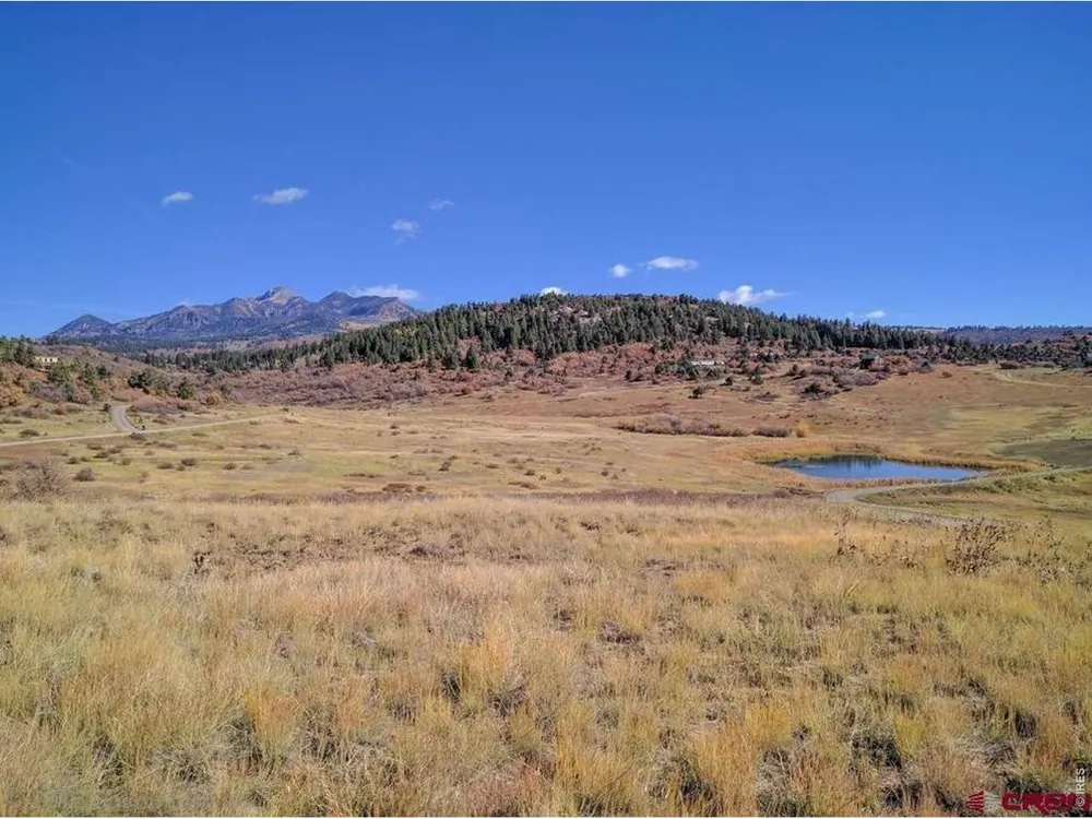 919 Roush Drive Pagosa Springs, CO 81147