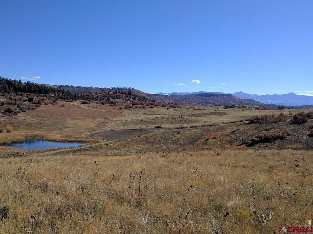 919 Roush Drive Pagosa Springs, CO 81147