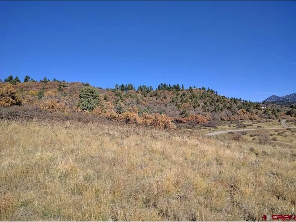 919 Roush Drive Pagosa Springs, CO 81147