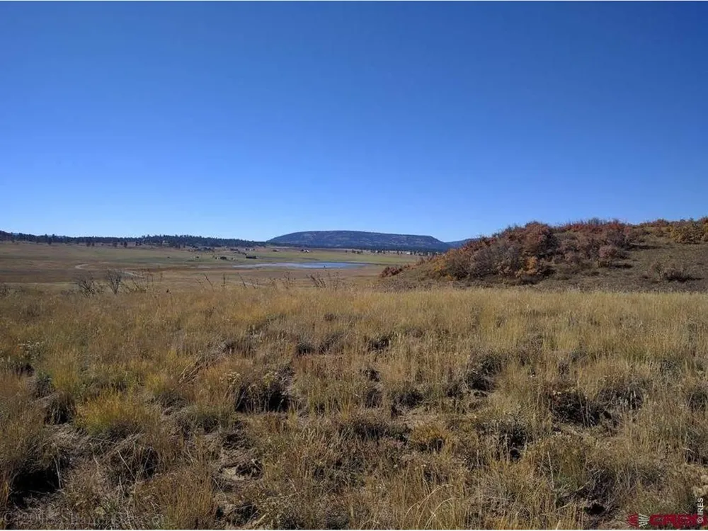 919 Roush Drive Pagosa Springs, CO 81147