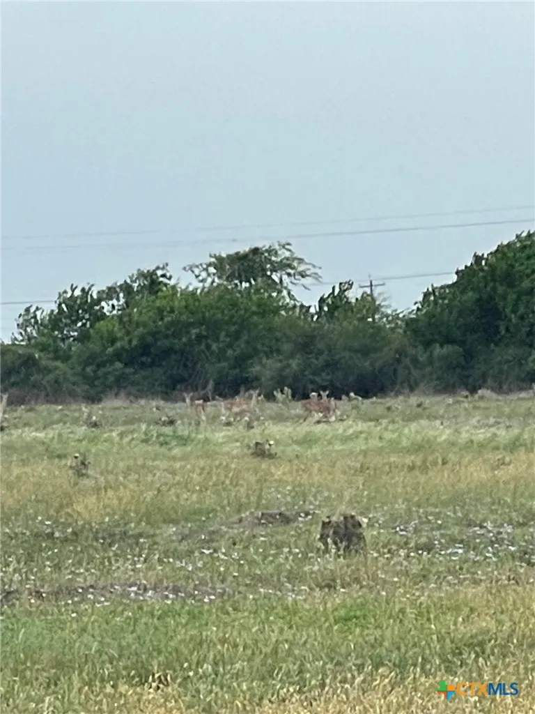 301 Beacon Drive Port Lavaca, TX 77979