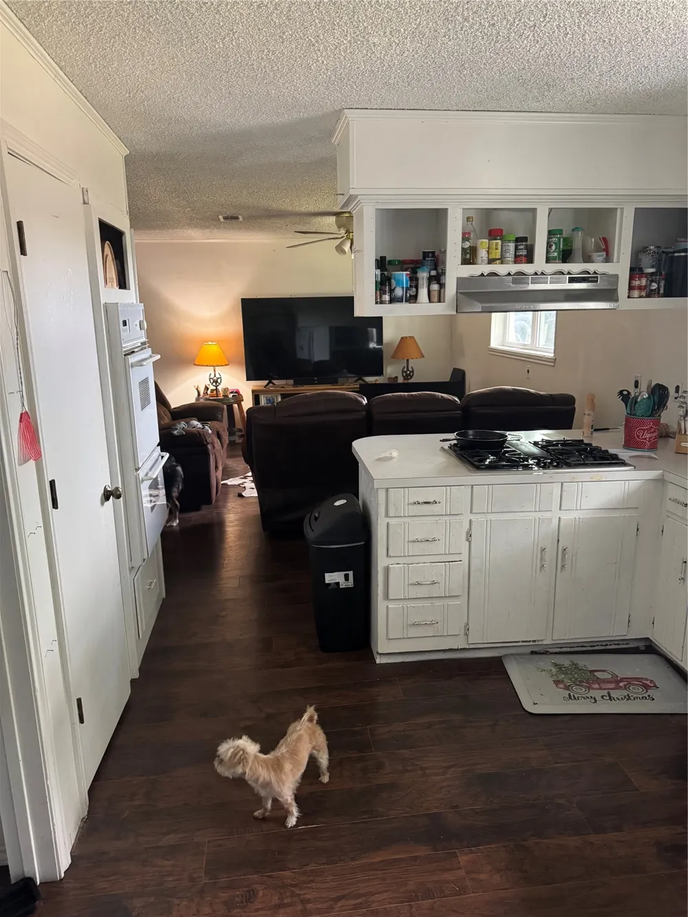102 Cedar Street Celeste, TX 75423