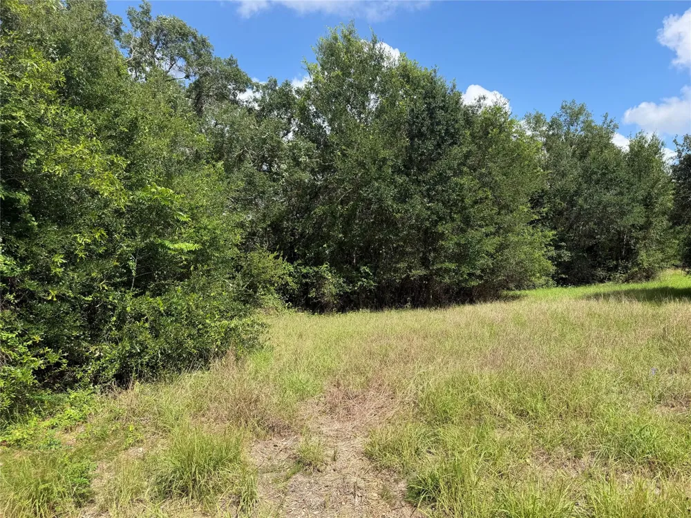 529 Grand Oak Street Palacios, TX 77465