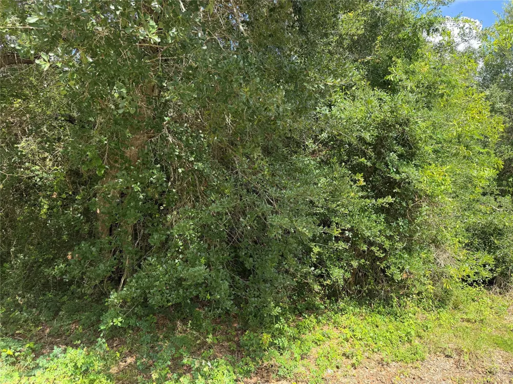 529 Grand Oak Street Palacios, TX 77465