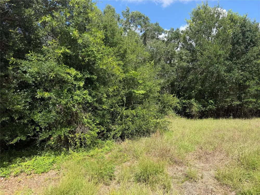 529 Grand Oak Street Palacios, TX 77465