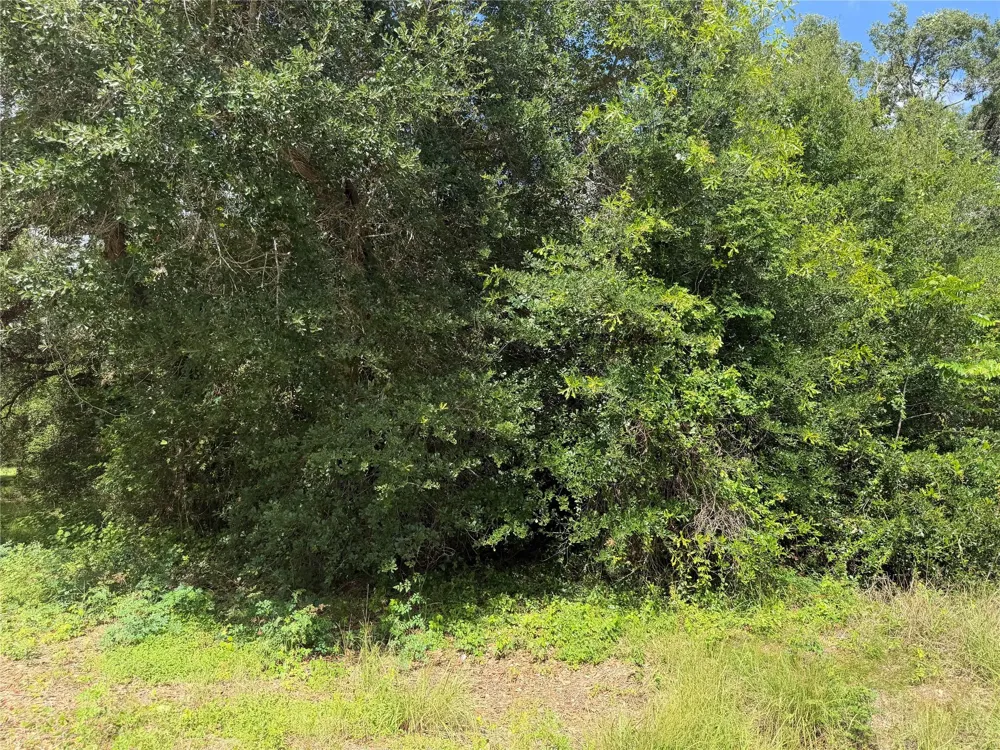529 Grand Oak Street Palacios, TX 77465