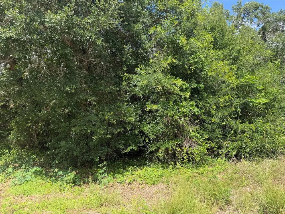 529 Grand Oak Street Palacios, TX 77465
