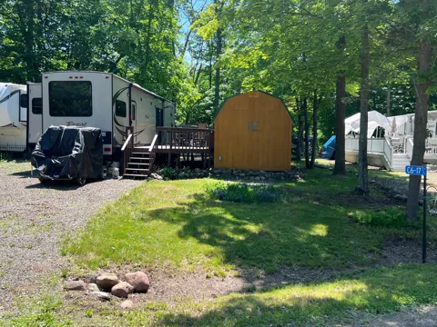 C6-17 Sherwood Forest