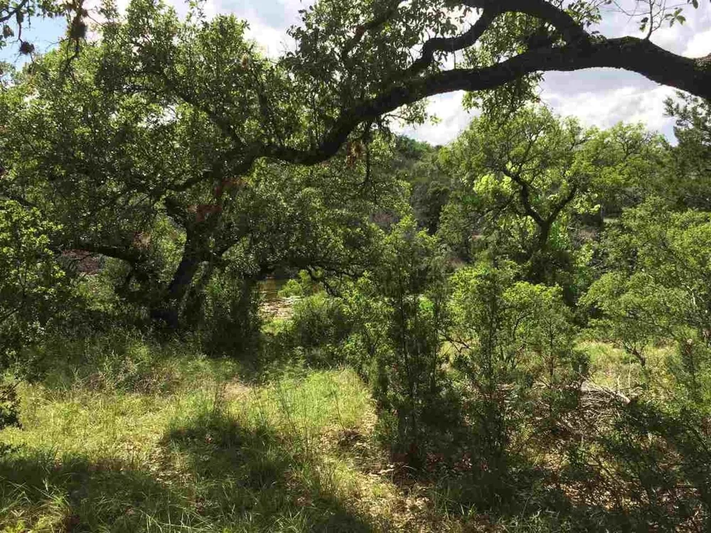 13042 Branding Iron Horseshoe Bay, TX 78657