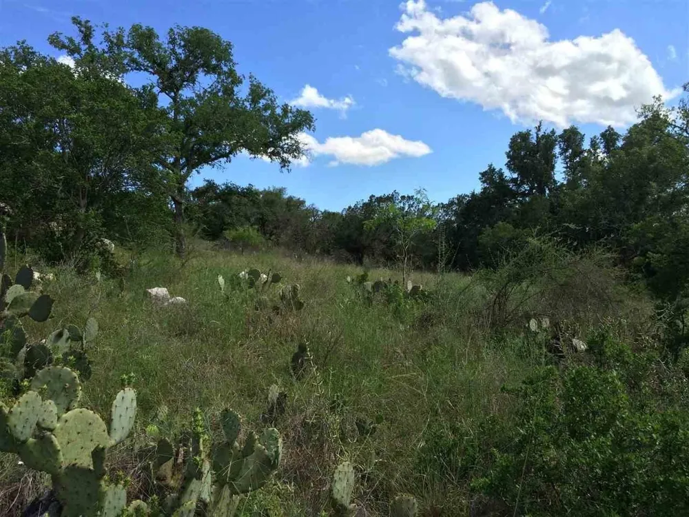13042 Branding Iron Horseshoe Bay, TX 78657