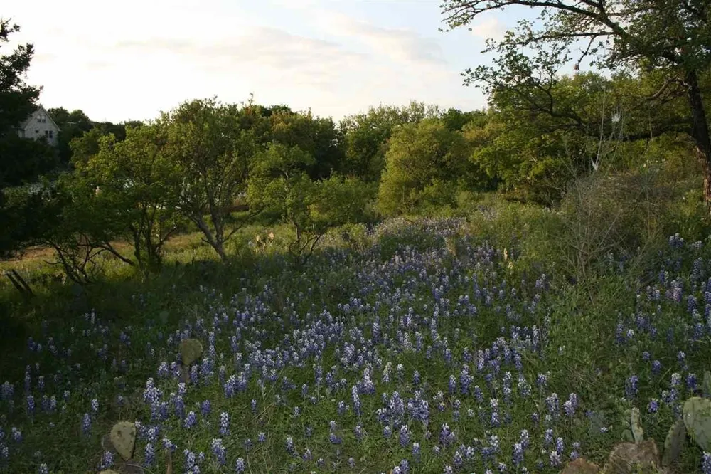 13042 Branding Iron Horseshoe Bay, TX 78657