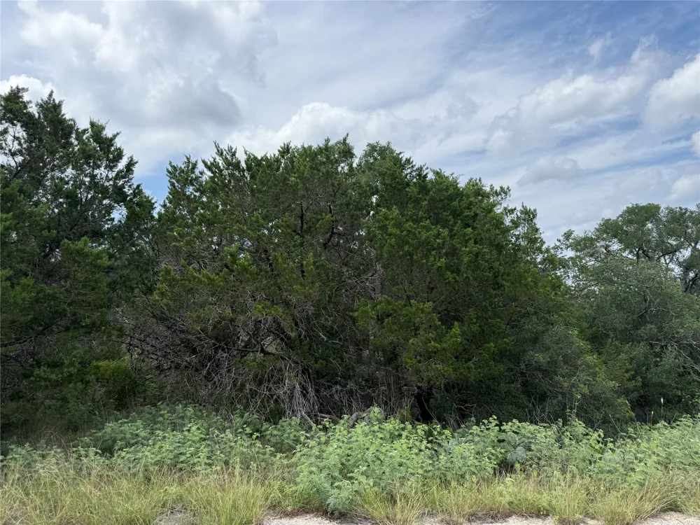 8130 Ridgeview Horseshoe Bay, TX 78657