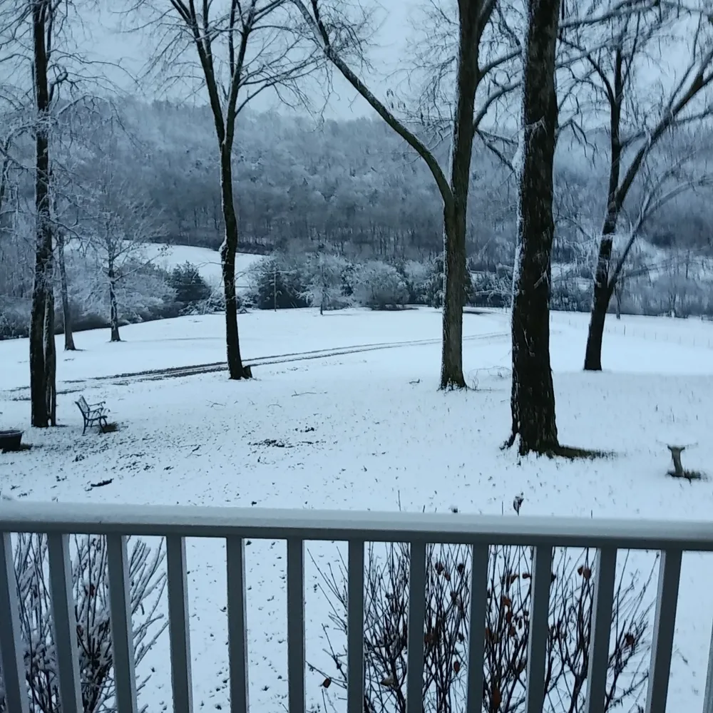 2865 Spring Place Rd Belfast, TN 37019