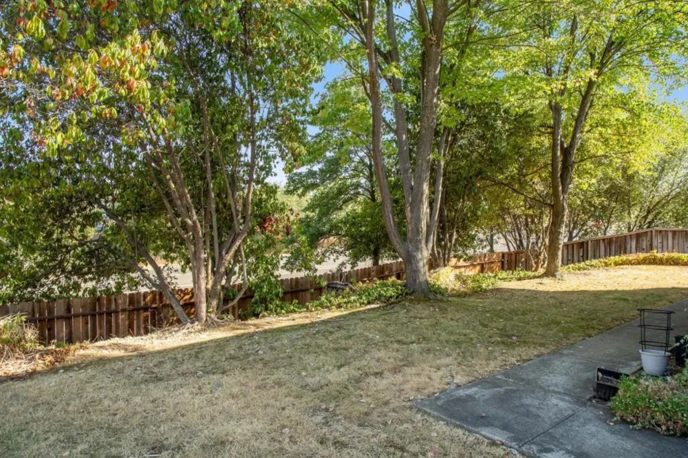 1333 Downieville Drive El Dorado Hills, CA 95762