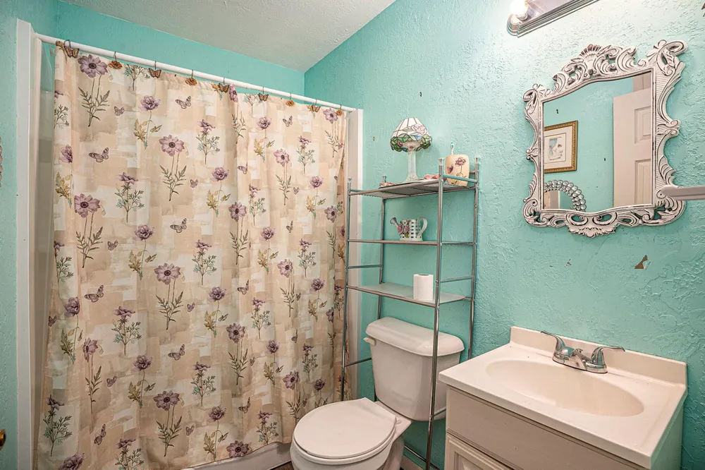 4028 Avenue N 1/2 Santa Fe, TX 77510