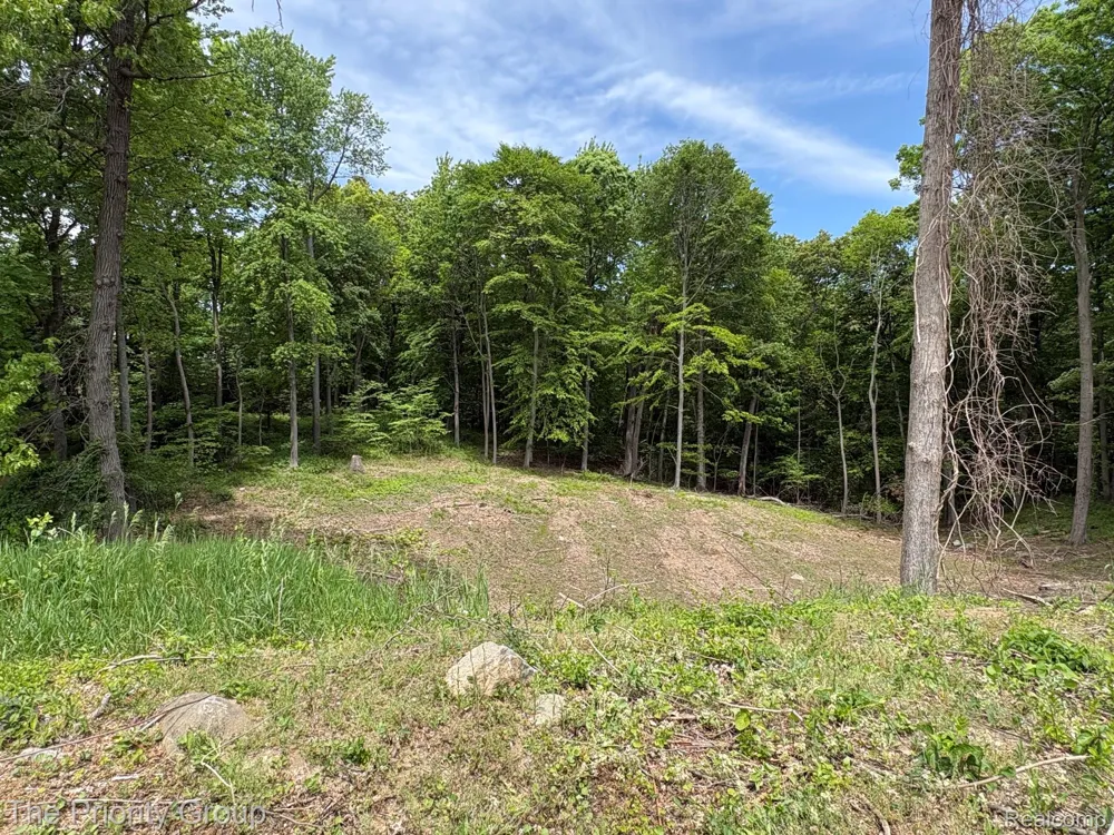 6248 E Crest Forest Court Independence Charter Township, MI 48348