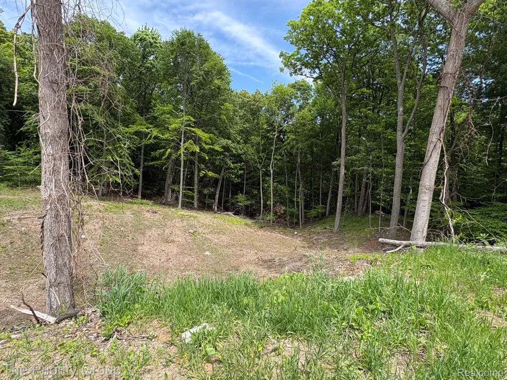 6248 E Crest Forest Court Independence Charter Township, MI 48348