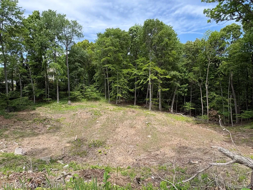 6248 E Crest Forest Court Independence Charter Township, MI 48348