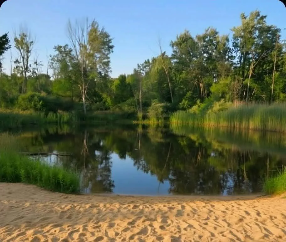 15530 Snauble Avenue NE Solon Township, MI 49319