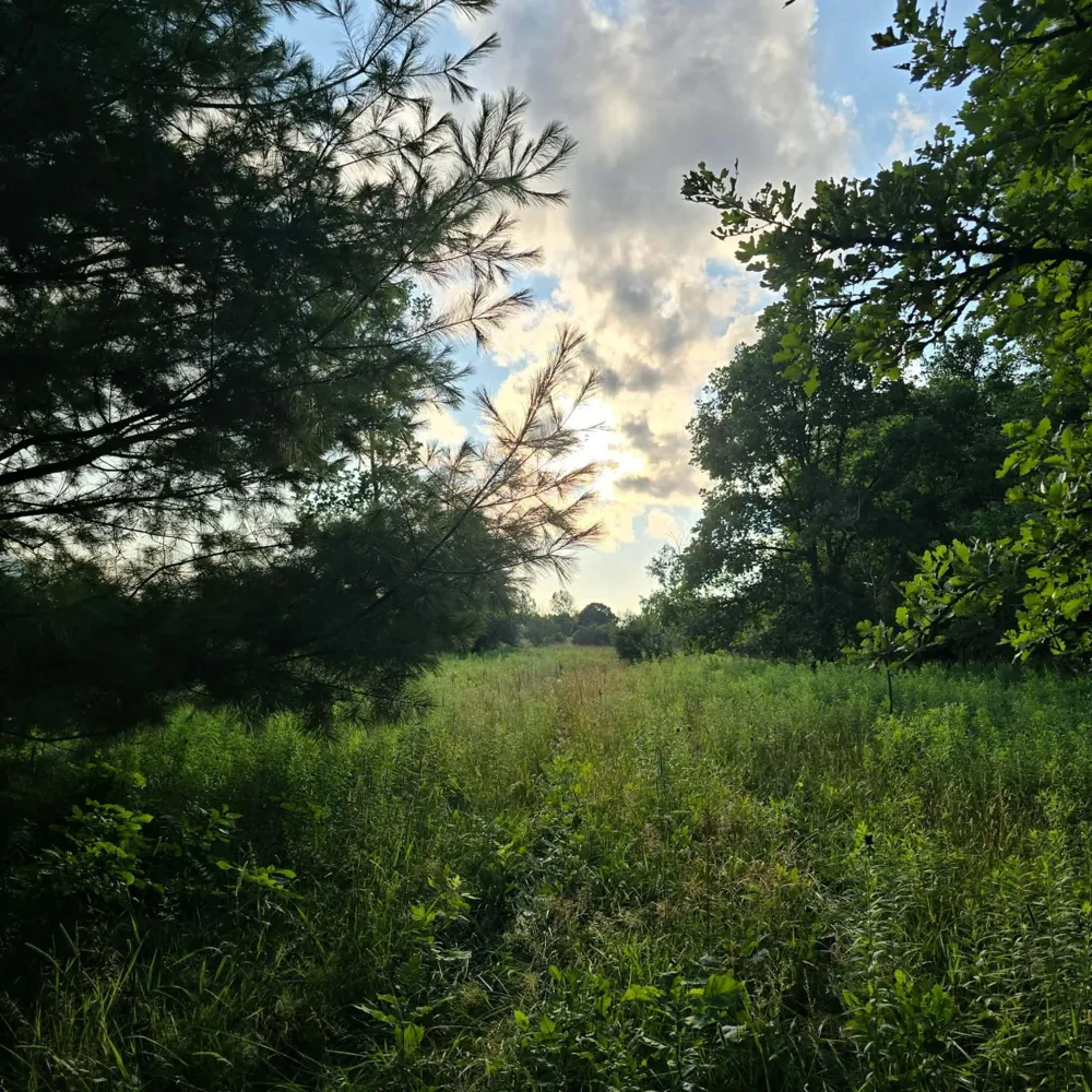 15530 Snauble Avenue NE Solon Township, MI 49319