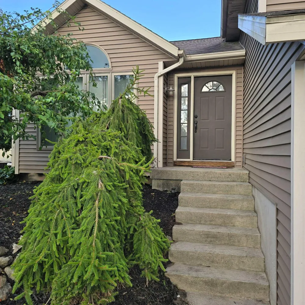 15530 Snauble Avenue NE Solon Township, MI 49319
