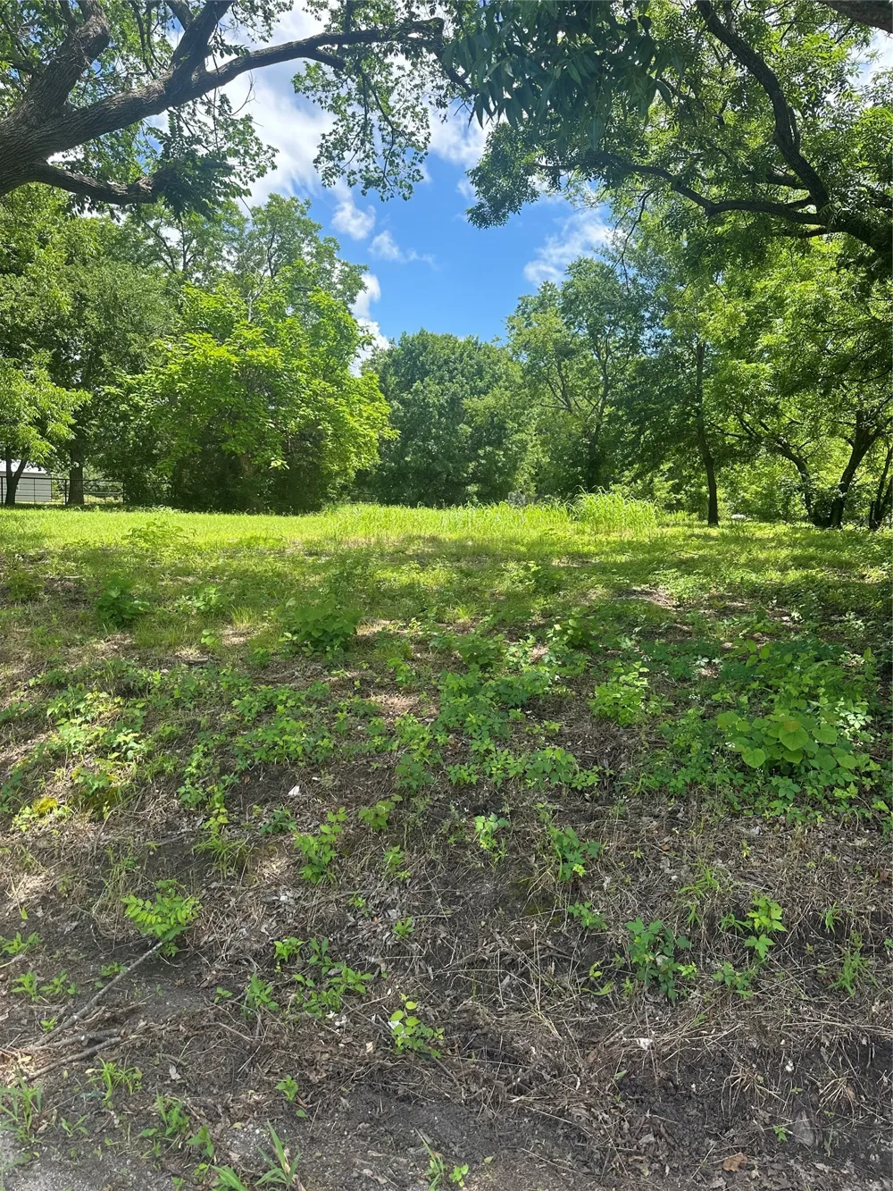 1309 S 4th Street Bonham, TX 75418