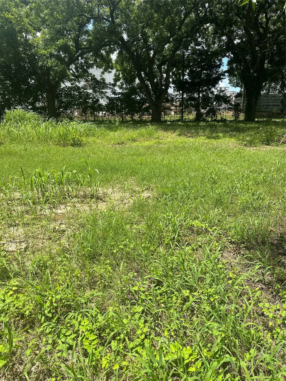 1309 S 4th Street Bonham, TX 75418