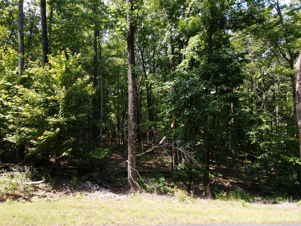 132 Valleyview Drive Bostic, NC 28018