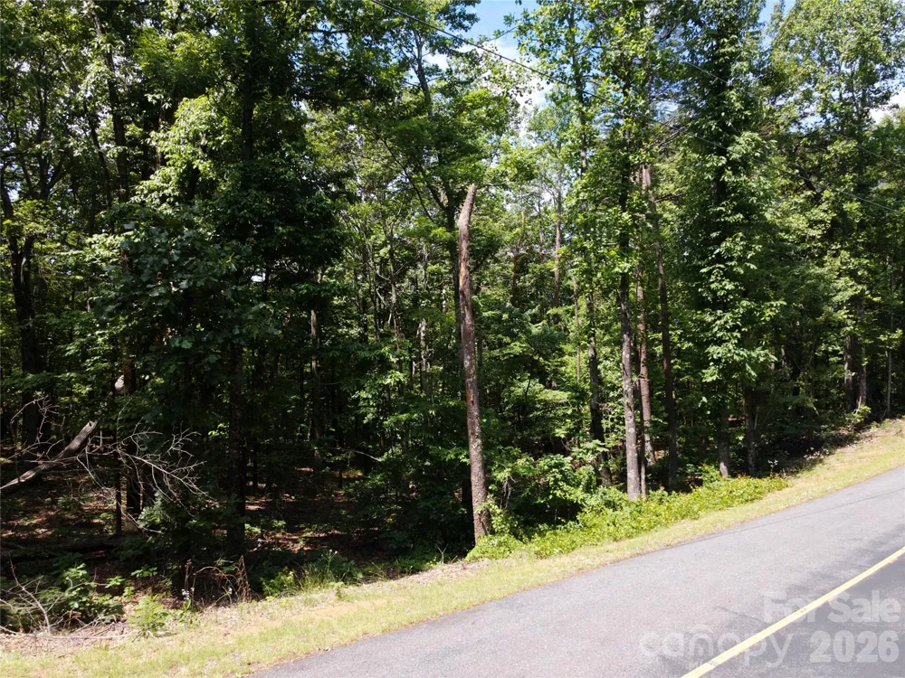 132 Valleyview Drive Bostic, NC 28018