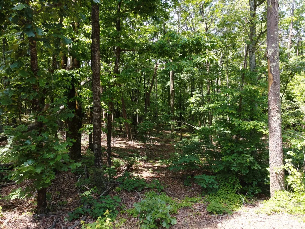 132 Valleyview Drive Bostic, NC 28018