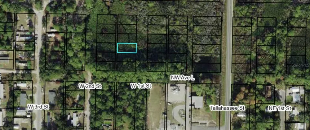 1305 W 1ST STREET Carrabelle, FL 32322